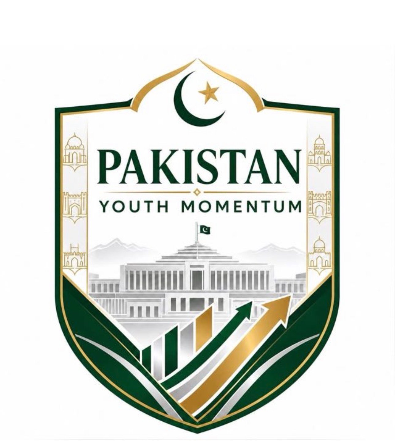 Pakistan Youth Momentum logo